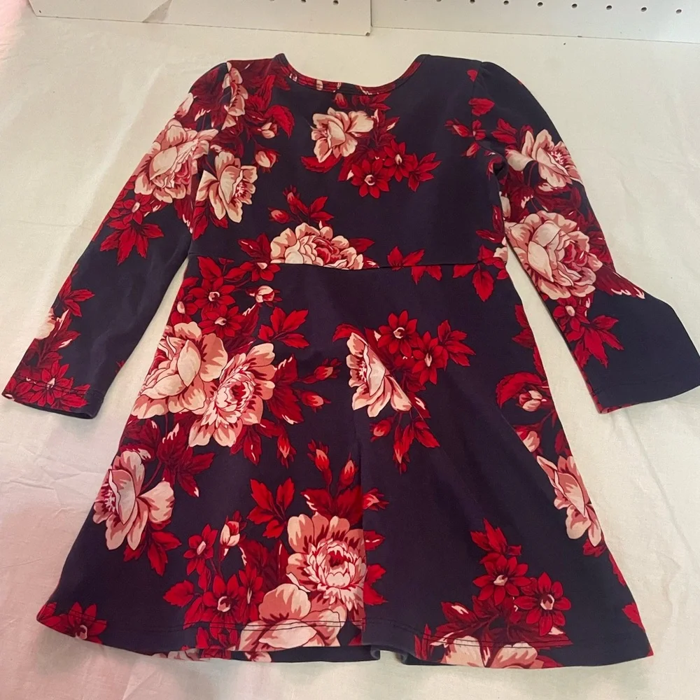 GAP Kids Navy Floral Dress with Red & Pink Blooms